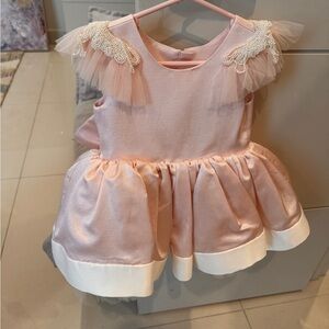 Dollcake Pink Flutter Ruffled Embroidered Sleeve with Round Neck